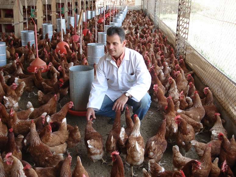 A Korin tem crescido entre 15% a 25% por ano, com seus frangos e ovos criados baseados na agricultura natural. O mercado está crescendo, a relação dos alimentos com a saúde ficam cada vez mais evidentes, diz o diretor industrial da empresa, Luiz Demattê