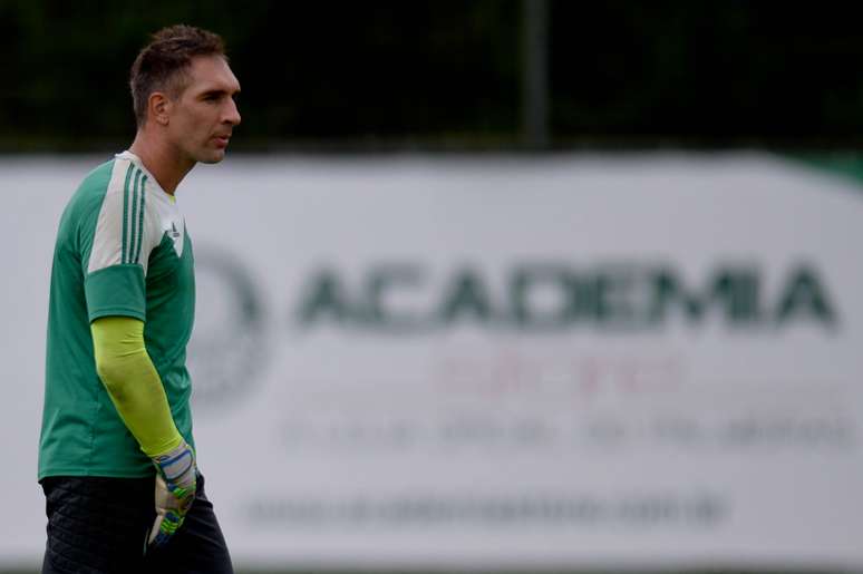 <p>Um dos principais jogadores do Palmeiras no ano, o goleiro Fernando Prass vem sofrendo com problemas no tornozelo direito</p>