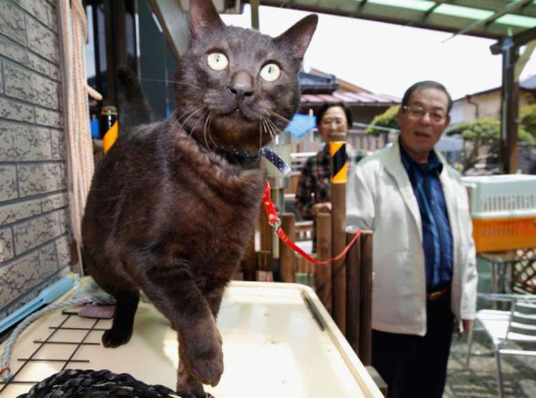 <p>Suika retornou para a sua famílio três anos após o tsunami que devastou parte do Japão, em 2011</p>