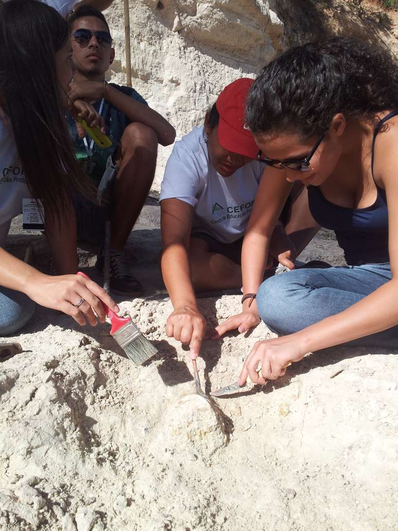 Em "ensaio", paleontólogos acharam quatro fósseis