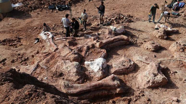 Os paleontólogos acharam cerca de 150 ossos no total