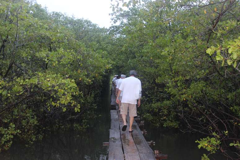 A visita aos animais em seu habitat natural é fantástica. Após uma caminhada por uma região de manguezal com guias da associação, pequenas embarcações sem motores (que não oferecerem perigo aos animais) aguardam os visitantes. São alguns minutos de navegação até os primeiros peixes-boi aparecerem