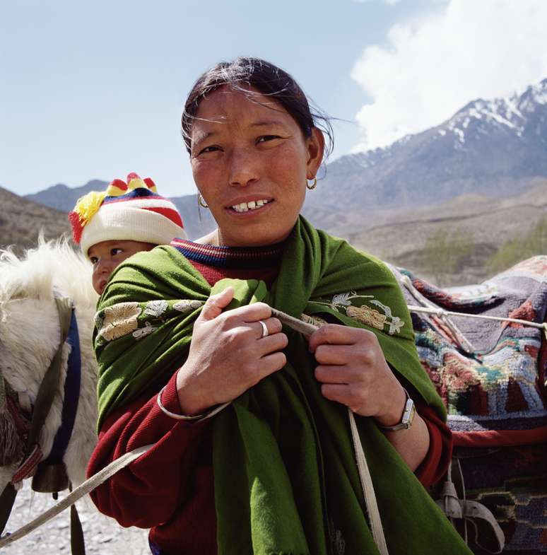 <p>Colheita é feita a mais de três mil metros de altura nas montanhas Himalais por famílias inteiras</p>