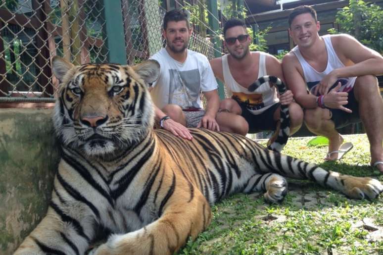 <p>Selfies ao lado de tigres podem ser proibidas em Nova York</p>