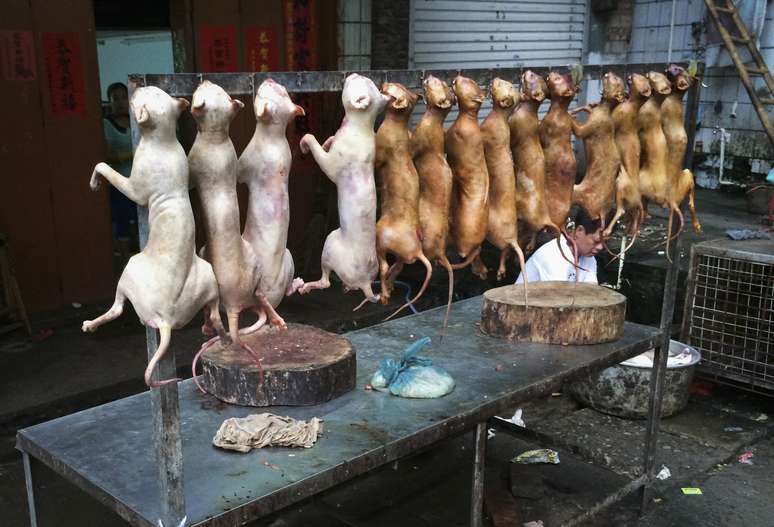 <p>Cães mortos são expostos em uma barraca semanas antes do festival de carne de cachorro em Yulin, em 19 maio</p><p> </p>