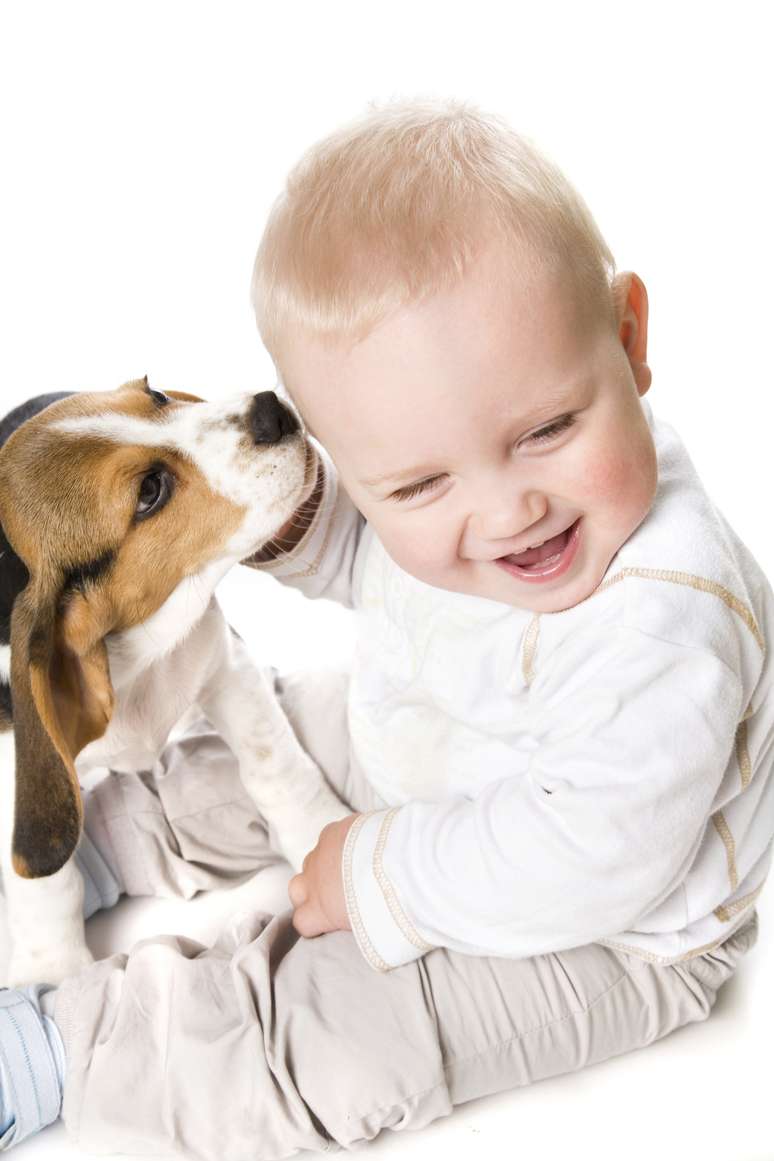 <p>Beagle é uma das raças mais dóceis com crianças</p>