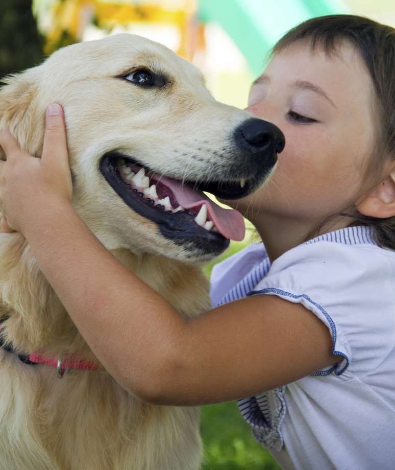 <p>Golden Retriever é indicado para ter ao lado de filhos pequenos</p>