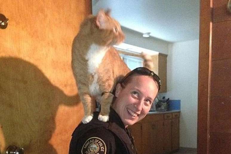 <p>Gato da família estava assustado e subiu nos ombros da policial, durante a revista da casa. Ele não quis descer até os oficiais irem embora</p>