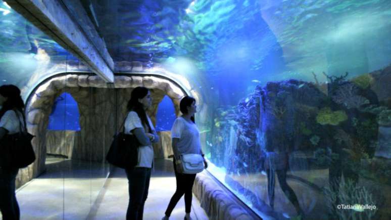 <p>Aqu&aacute;rio subterr&acirc;neo na Cidade do M&eacute;xico &eacute; o maior da Am&eacute;rica Latina</p>