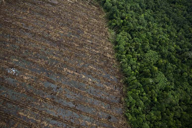 <p>Vista aérea de área desmatada da floresta tropical de Sumatra, em Merang, Indonésia, em 10 de dezembro de 2010</p>