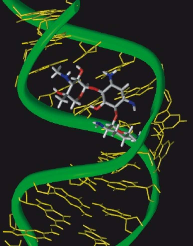 <p>Ilustração de uma bacteriana ribossomal</p>