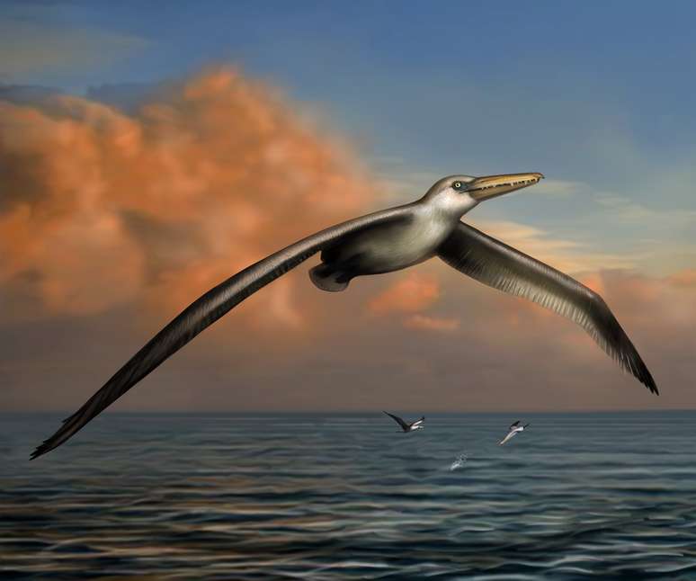 Museu reconstruiu imagem de como seria a maior ave que já existiu na Terra