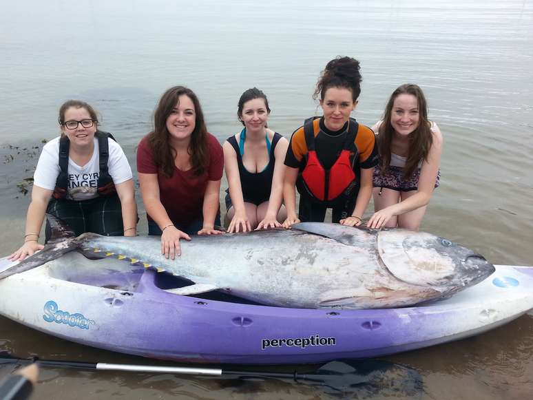 <p>Charlotte Chambers, Shauna Creamer, Hannah Ford, Sarah Little e Laura Pickervance encontraram o peixe flutuando em Kingsand</p>