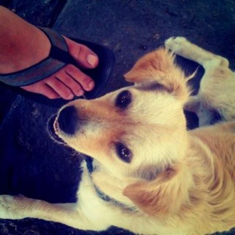 <p>Primeira foto postada pelo CEO do Instagram, antes de a rede social ser lan&ccedil;ada</p>