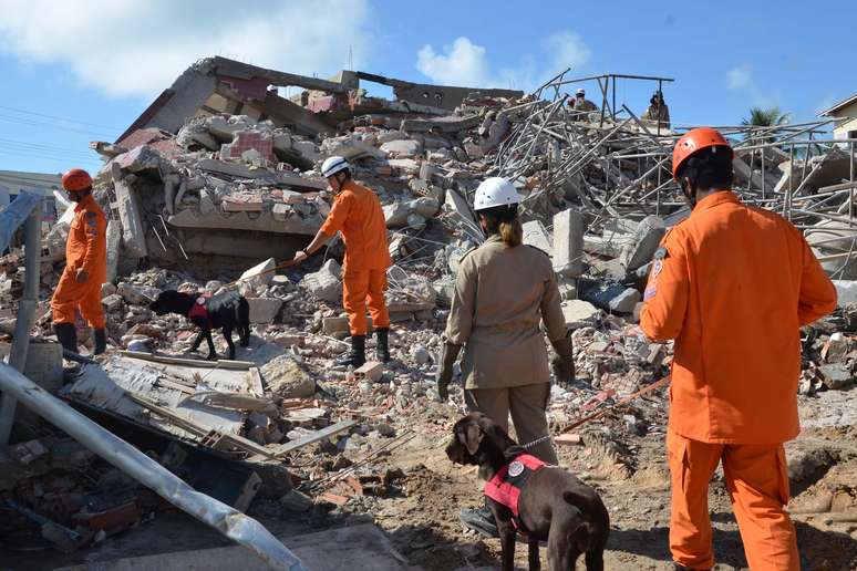 <p>Cães farejadores também foram usados para tentar encontrar as vítimas</p>