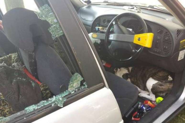 <p>Para tentar suportar o calor no interior do automóvel, o cão ficou no local reservado para os pés do passageiro</p>