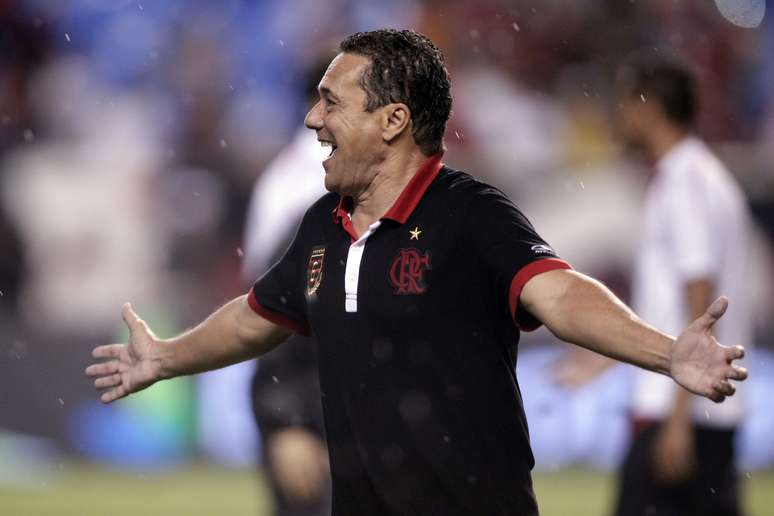 <p>Luxemburgo tentará salvar Flamengo do rebaixamento</p>