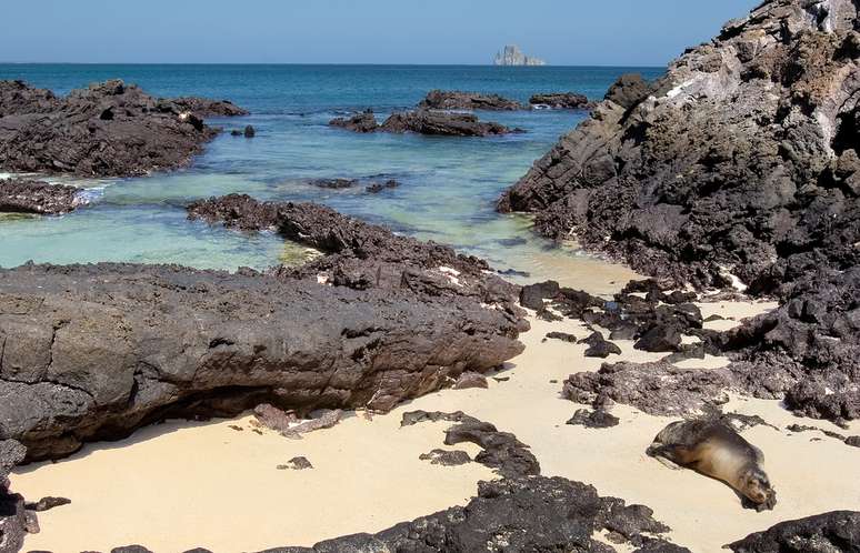 As viagens da Un-Cruise para as Ilhas Galápagos ocorrem entre fevereiro e novembro de 2016