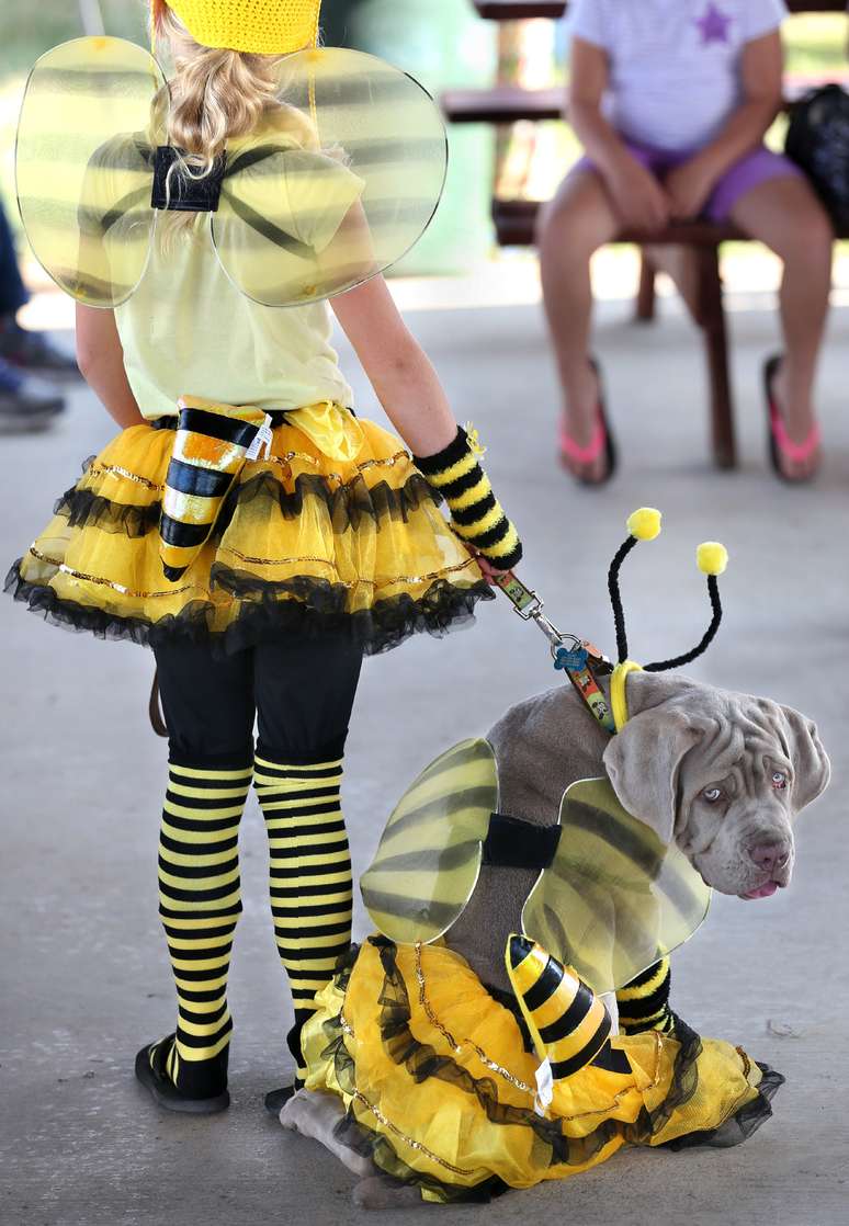 <p>Garota levou seu animal de estimação para um concurso de fantasias em uma feira norte-americana</p>