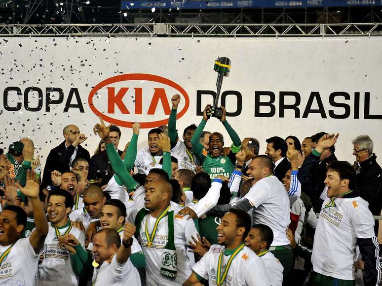 <p>Palmeiras foi campeão do Brasil e rebaixado no mesmo ano</p>
