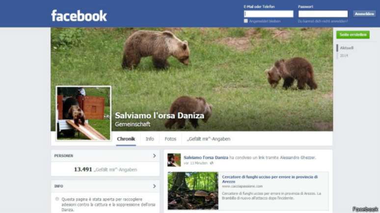 <p>Ativistas criticam autoridades italianas pela tentativa de separar ursa de seus filhotes</p>