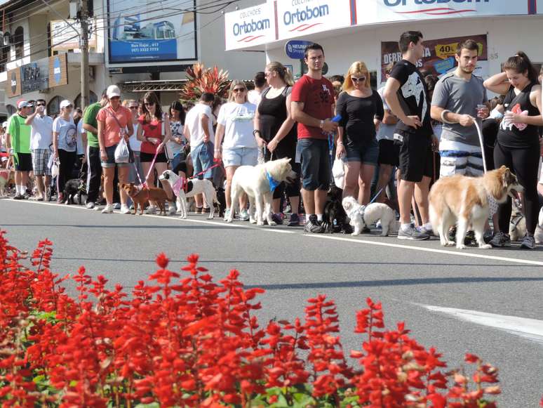 Cerca de 5 mil pessoas levaram seus cães para as ruas de Blumenau, em Santa Catarina, para participar da 18ª edição da Cãominhada na manhã deste domingo