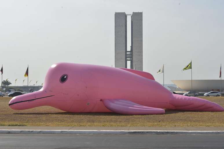 Animal inflável foi colocado em frente ao Congresso Nacional