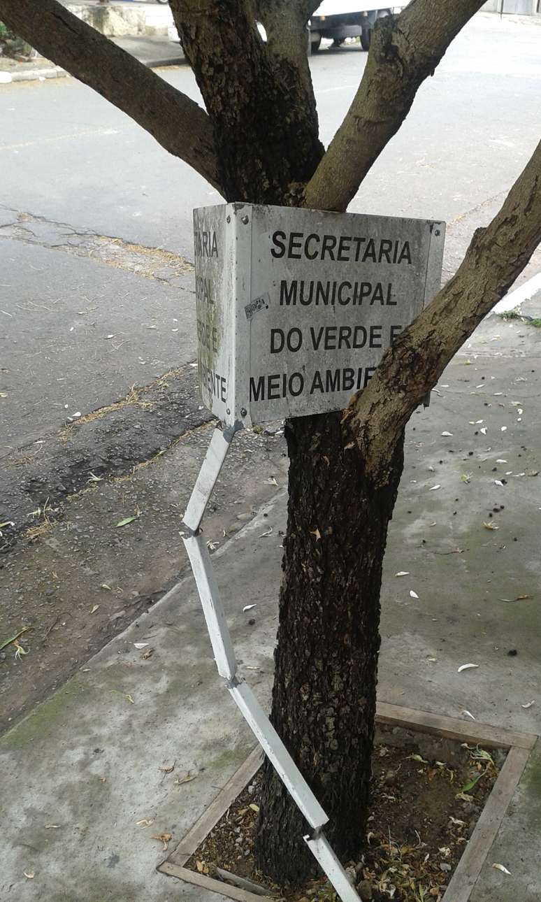 <p>Moradora da regi&atilde;o decidiu retirar a estrutura por conta pr&oacute;pria</p>