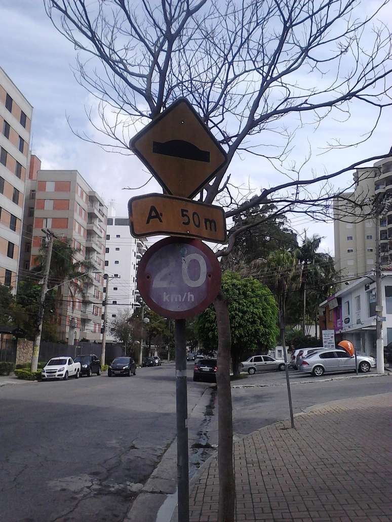 <p>A sinalização de lombada está com placas sujas, desbotadas, amassadas e desatualizadas</p>