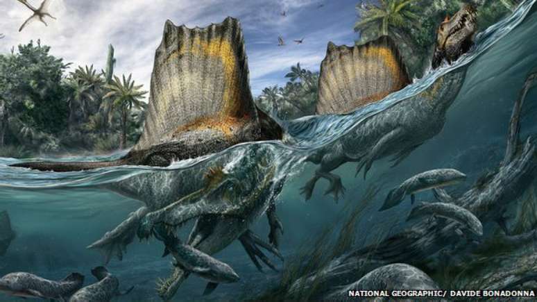 <p>O espinossauro é o maior animal carnívoro conhecido e se alimentaria de tubarões e peixes gigantes</p>