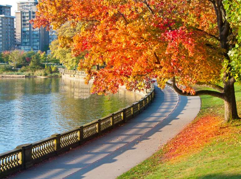 <p>Stanley Park é uma das atrações mais conhecidas de Vancouver</p>