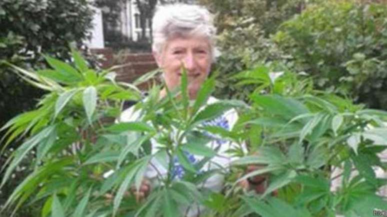 <p>Patricia Hewitson colocou uma foto da planta nas redes sociais</p>