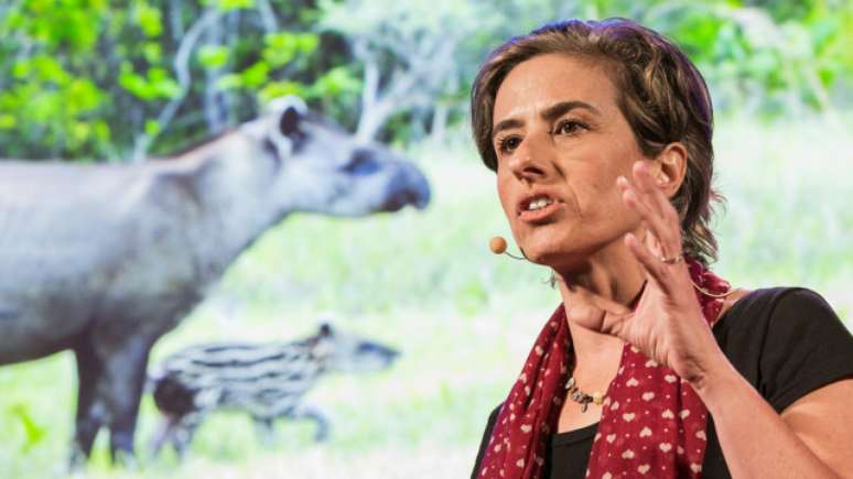 O treinamento que recebemos para dar essa palestra &eacute; surreal, disse a engenharia ambiental Patricia Medici