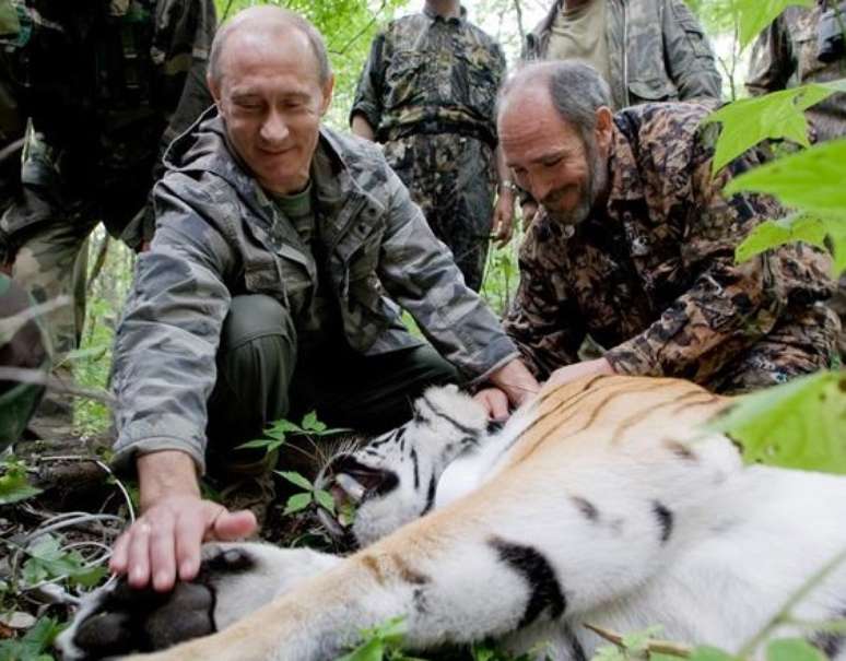 Tigre foi libertado pelo presidente russo e pode ter chegado à China