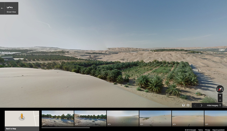 Camelo Google no Deserto e Oásis de Liwa em Abu Dhabi, nos Emirados Árabes Unidos