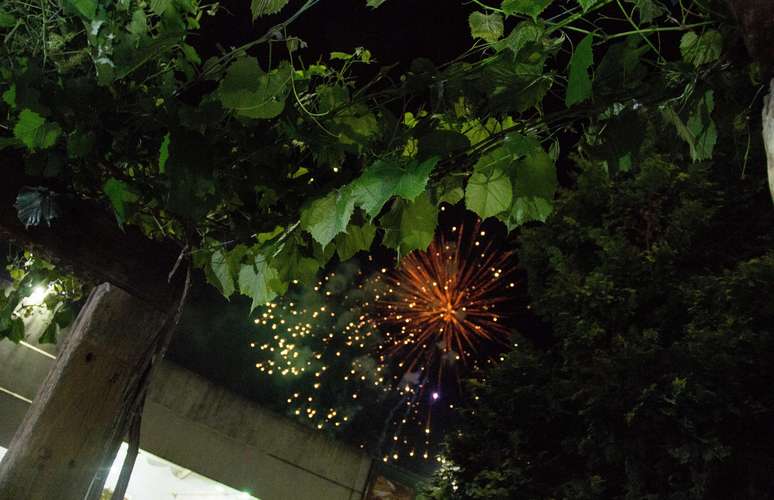 <p>At&eacute; o final da festa, s&atilde;o esperadas 60 mil pessoas</p>