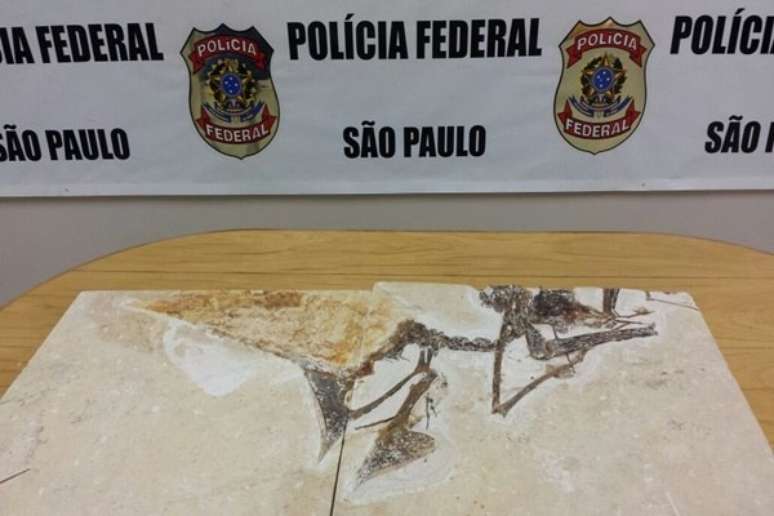 <p>Organização criminosa roubava peças extraídas principalmente do Ceará, que eram enviadas para abastecer museus particulares na Europa, Estados Unidos e Ásia</p>