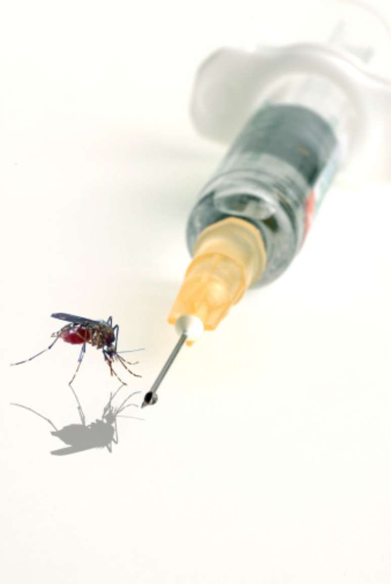 <p>Casos da febre chikungunya aparecem na França</p>