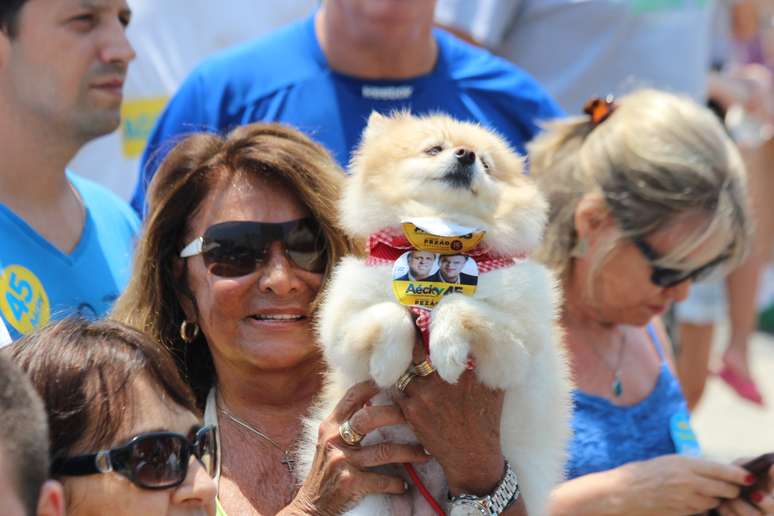 <p>Apoiadora de Aécio levou seu cachorro "fardado" para a caminhada</p>