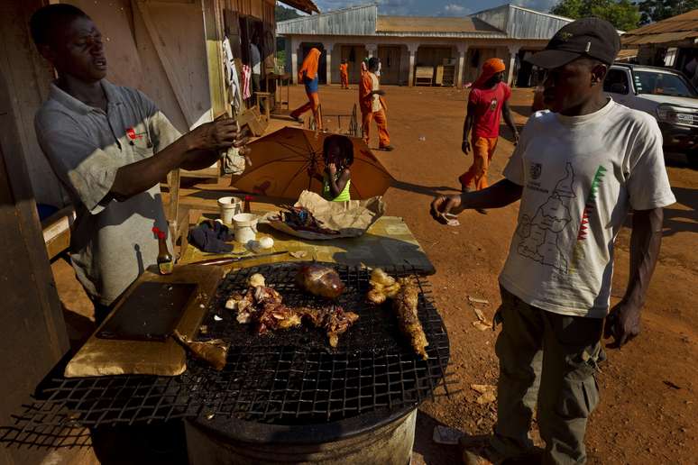 Carne de animais silvestres é bastante comum em países africanos que não têm recursos