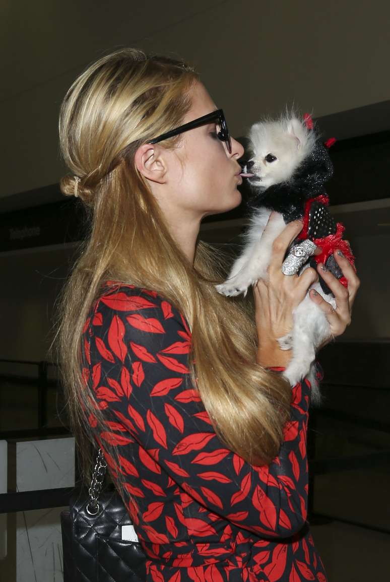 Paris Hilton dá beijão de língua em cachorro 