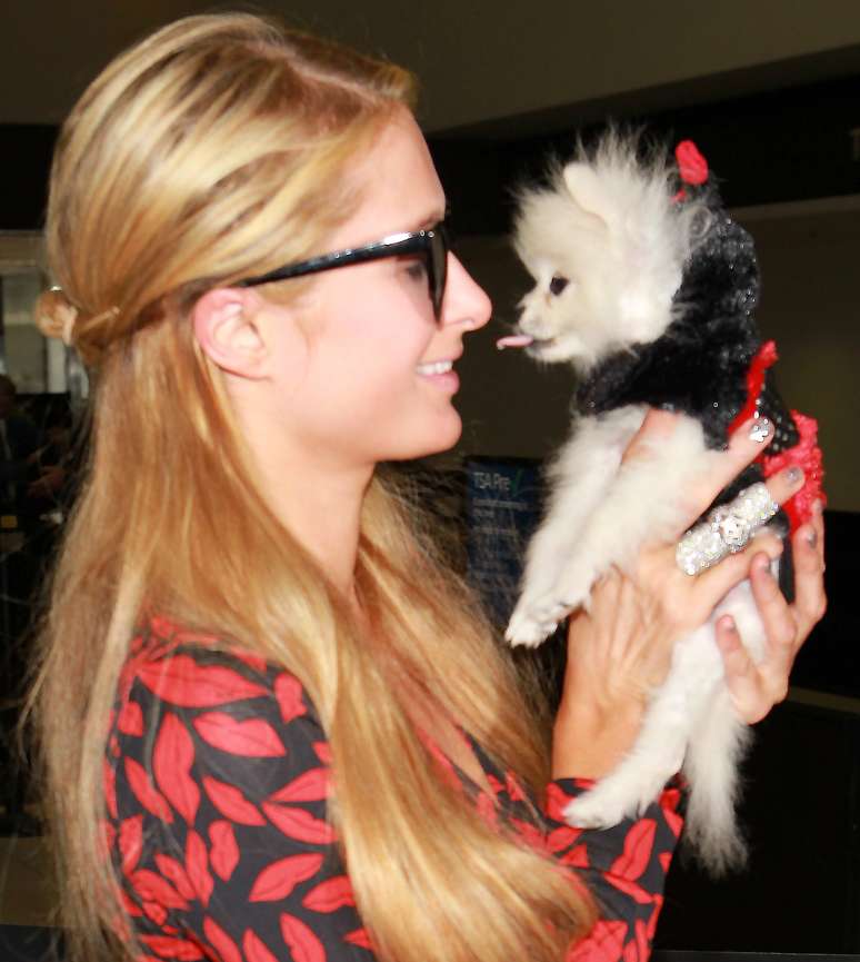 Paris Hilton dá beijão de língua em cachorro 