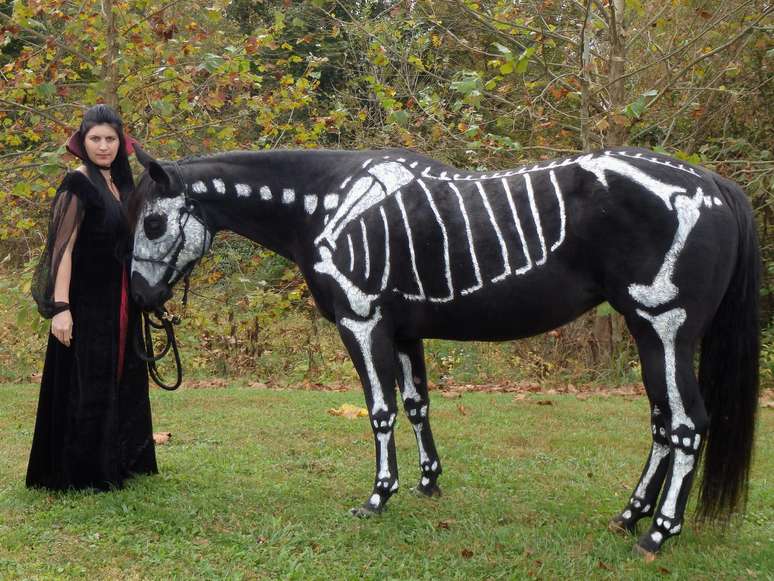 Mulher pinta cavalo de esqueleto para Halloween nos Estados Unidos 