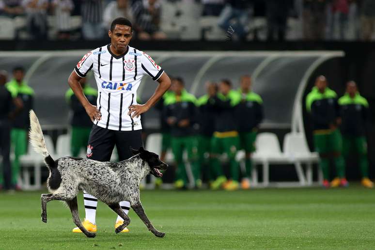 <p>Cachorro invadiu o gramado da Arena Corinthians no primeiro tempo, no empate entre o time da casa e o Coritiba por 2 a 2.</p>