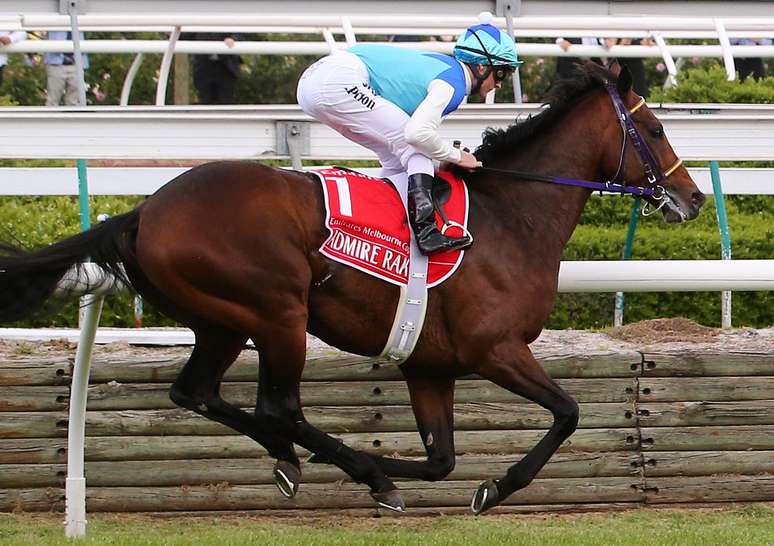 Favorito na Melbourne Cup, cavalo Admire Rakti desmaiou na reta final e morreu após a prova