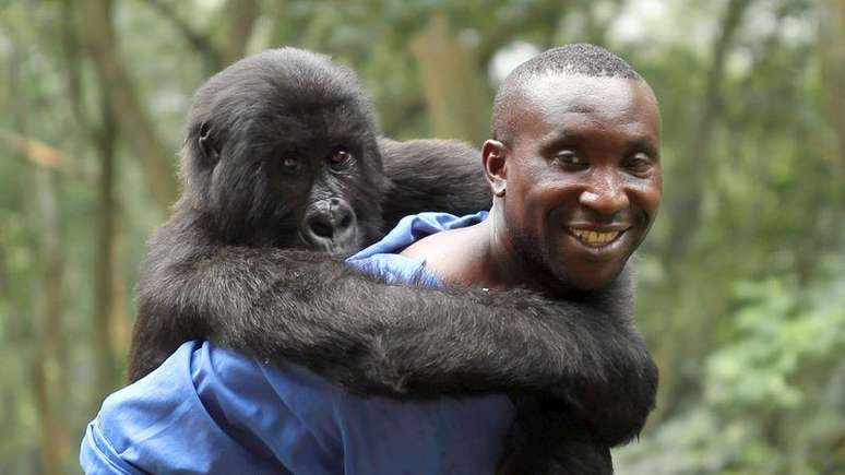 <p>'Virunga' conta a história da luta de guardas florestais para salvar os gorilas na República Democrática do Congo </p>