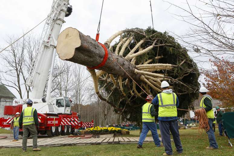 <p>A Árvore de Natal do Rockefeller Center é cortada em Hemlock Township, no estado da Pensilvânia, em 5 de novembro </p>