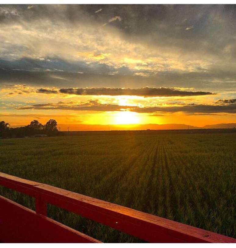 <p>Os labirintos se tornaram atra&ccedil;&otilde;es tur&iacute;sticas muito populares na Am&eacute;rica do Norte, sendo uma forma de as fazendas ganharem renda</p>