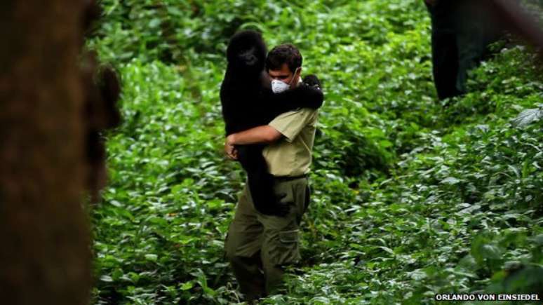 <p>Mais de 130 guardas florestais foram mortos desde 1996 </p>