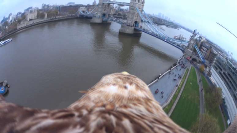 Águia sobrevoa pontos turísticos de Londres com câmera  